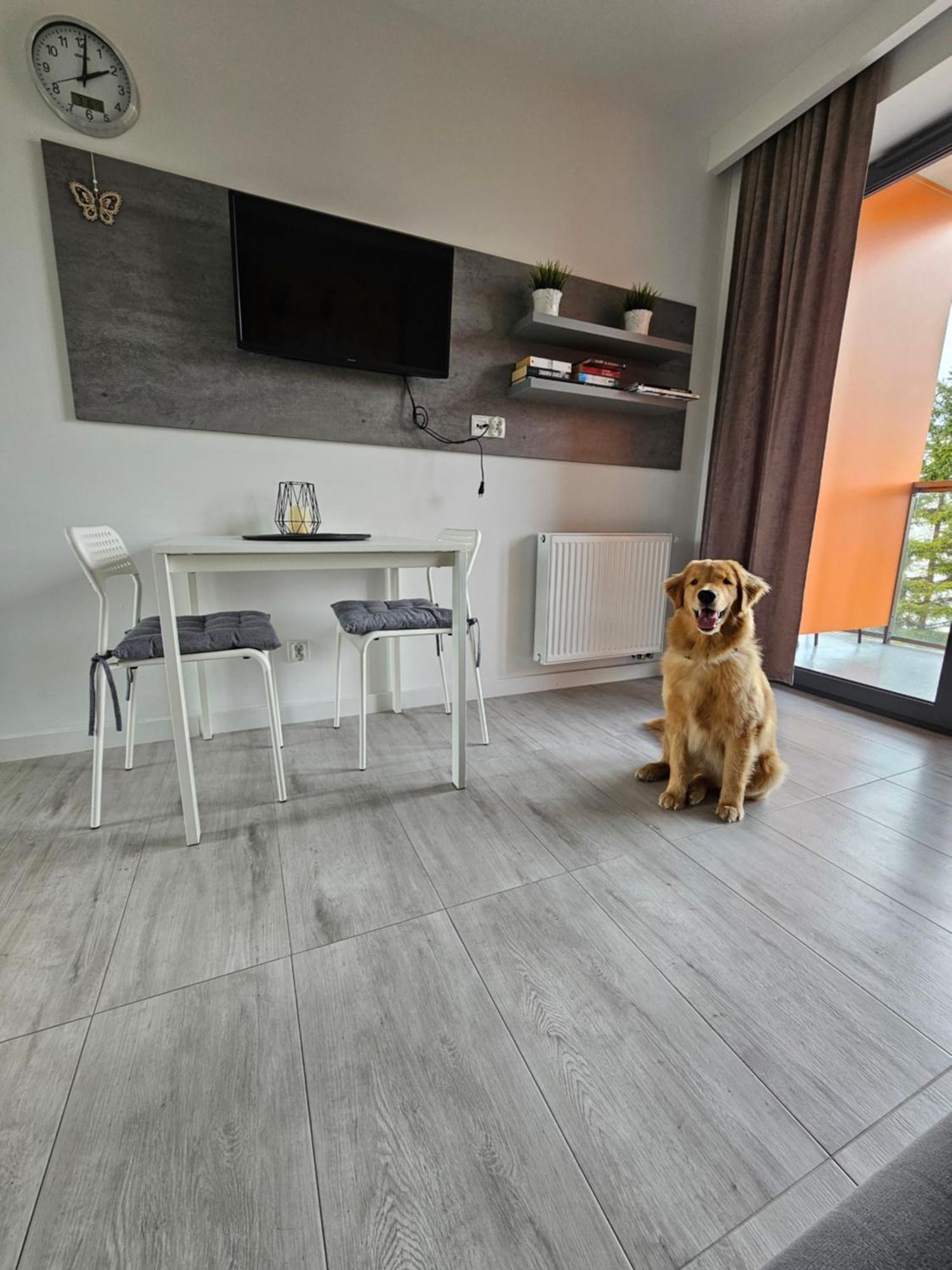 Apartament B106 - Residence Jastrzębia Góra Exteriör bild